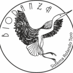 Logo officiel de Biodanza - Sistema Rolando Toro